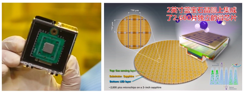 Gas sensors & Artificial olfactory Gas sensors & Artificial olfactory